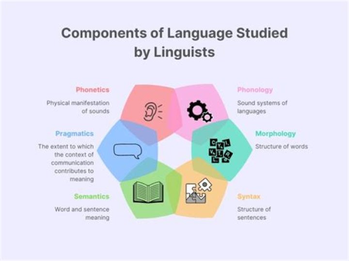 Why do linguists study language?
