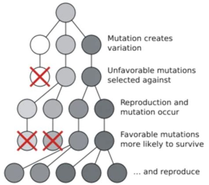 Why do organisms overproduce offspring?