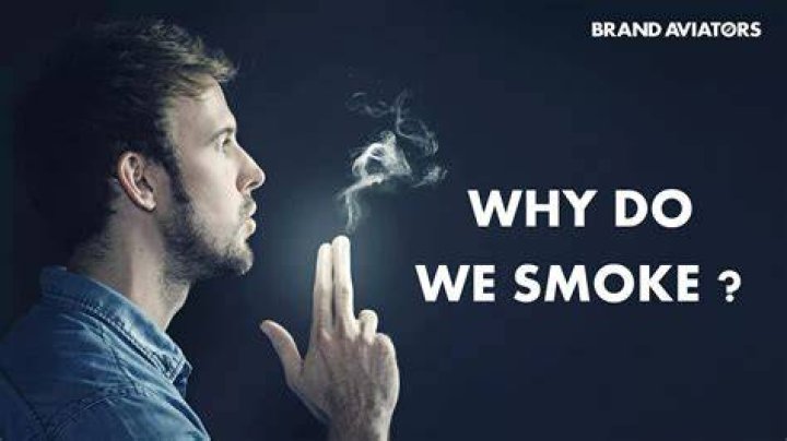Why do we smoke pit latrines?