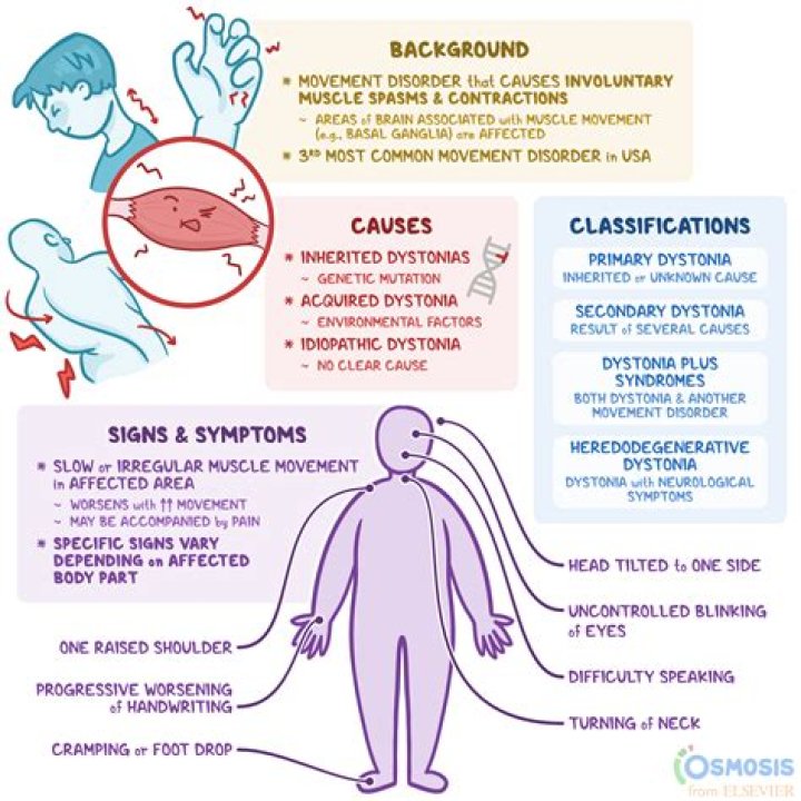 Why does dystonia come and go?