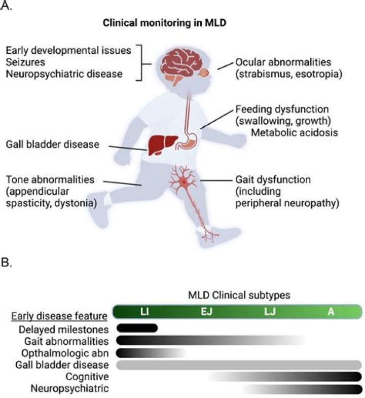 Why does leukodystrophy occur?
