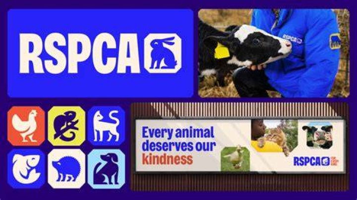 Why does the Rspca advocate for animals?