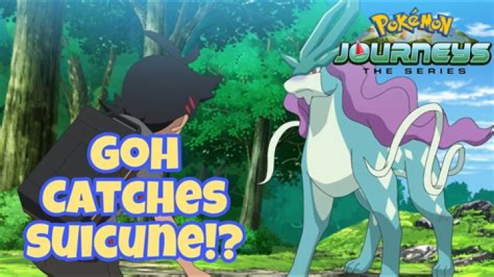 Why goh catches suicune?