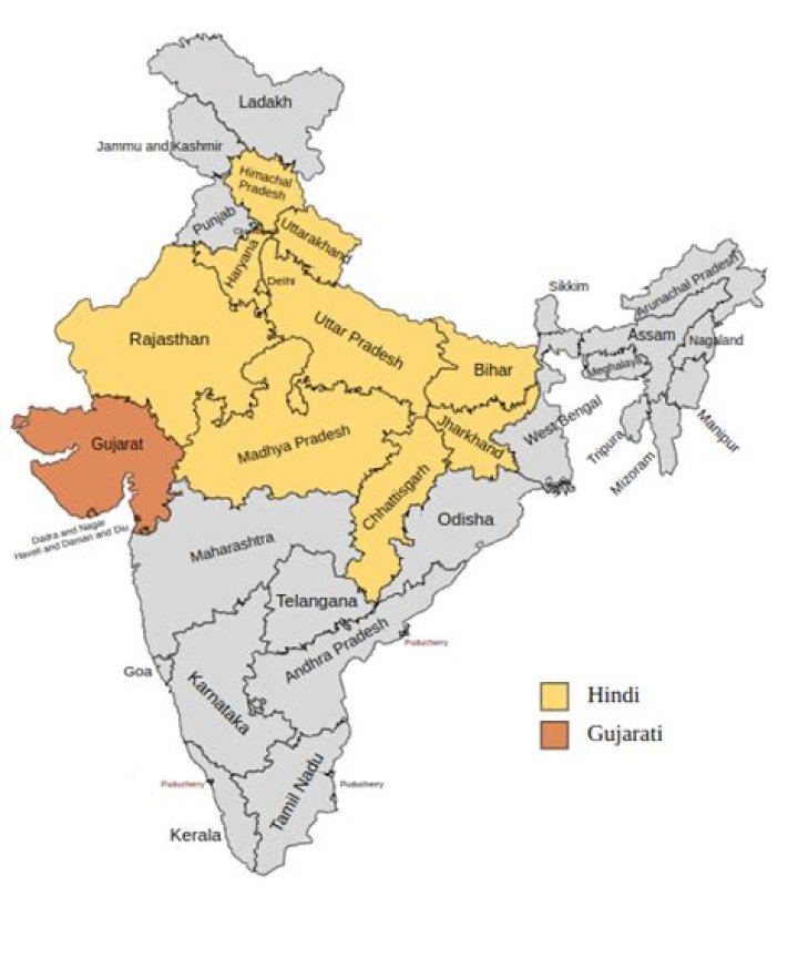 Why gujarati language is important?
