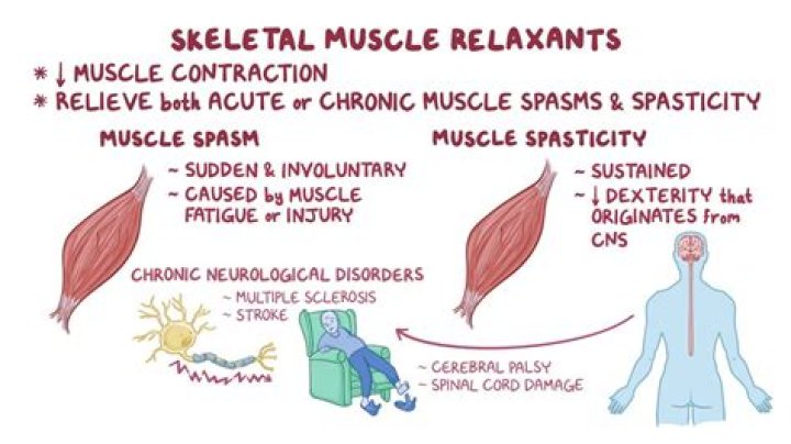 Why heat relaxes muscles?
