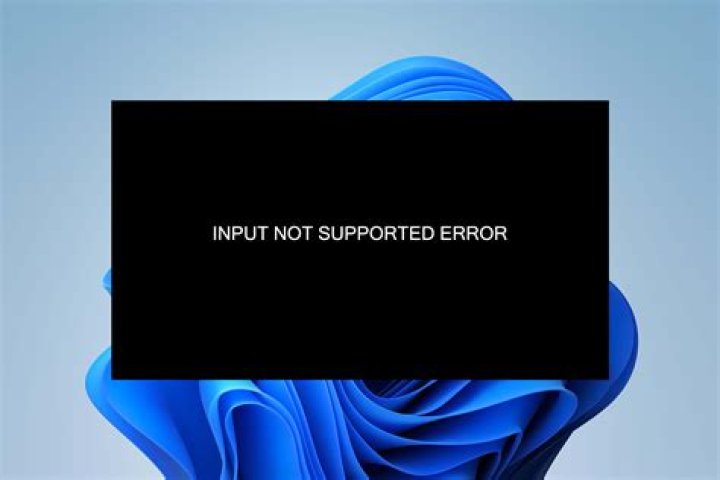 Why input not supported?