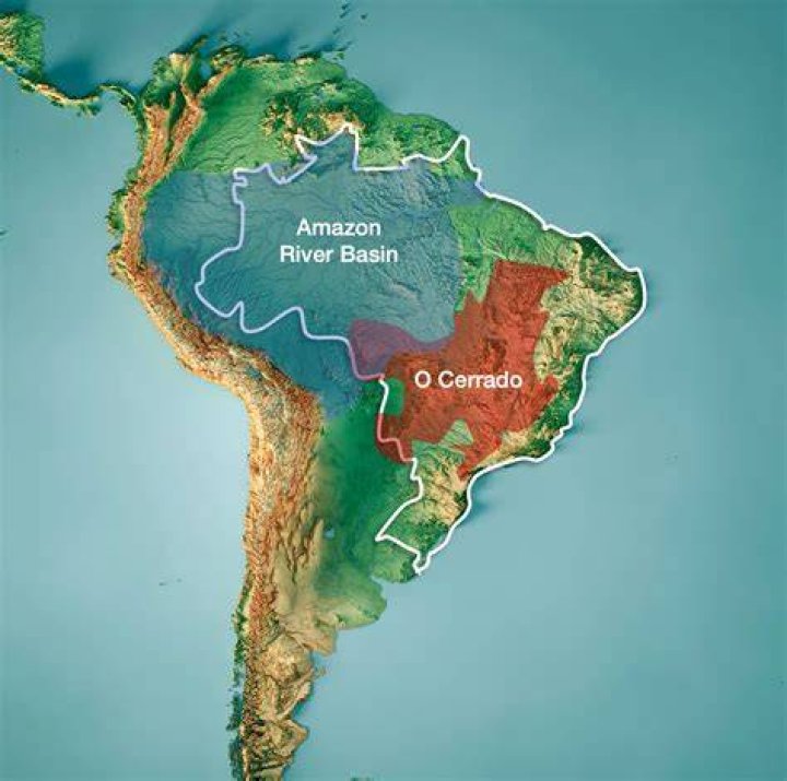 Why is Brazil an emerging superpower?