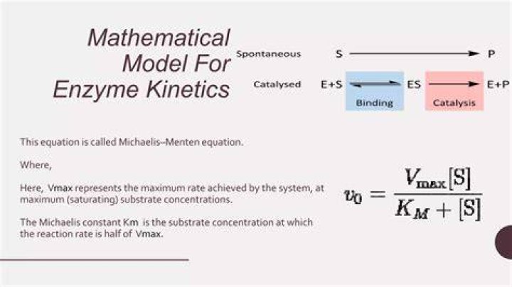 Why is enzyme kinetics important?