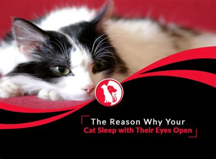 Why is expressive eyes?