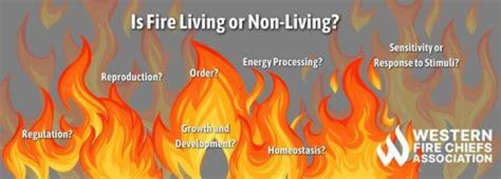Why is fire not living?