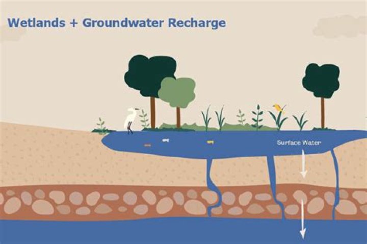 Why is groundwater replenished?