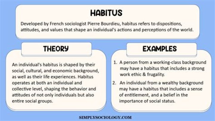 Why is habitus important?