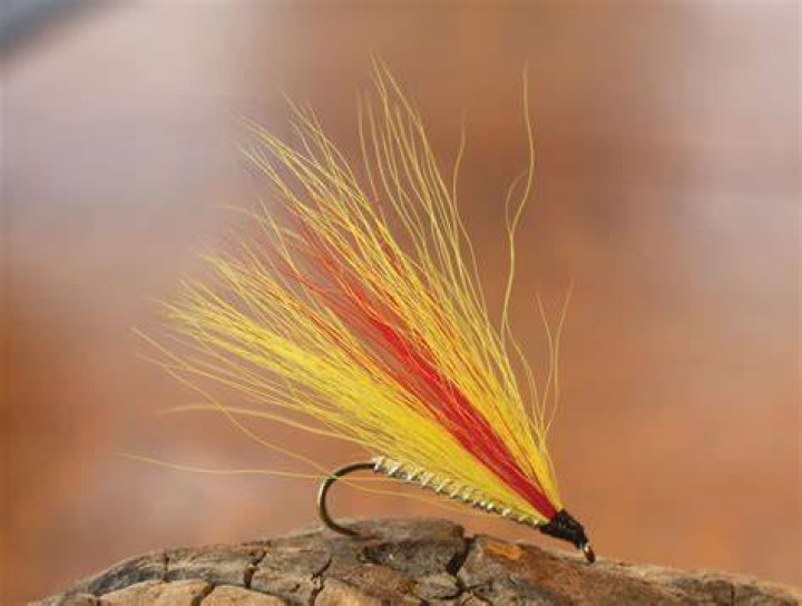 Why is it called a Mickey Finn?