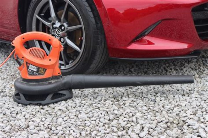 Will a leaf blower dry a car?