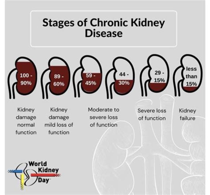 Will dialysis improve kidney function?