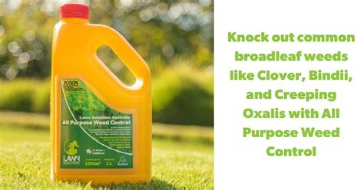 Will glyphosate kill broadleaf?