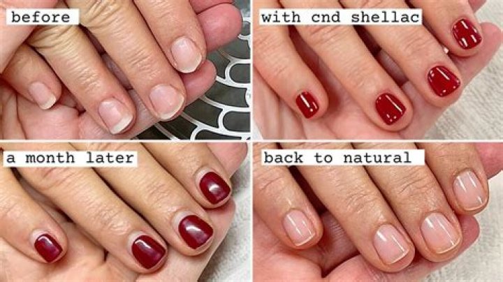 Will lacquer stick to shellac?