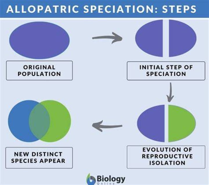 Will lead to speciation?