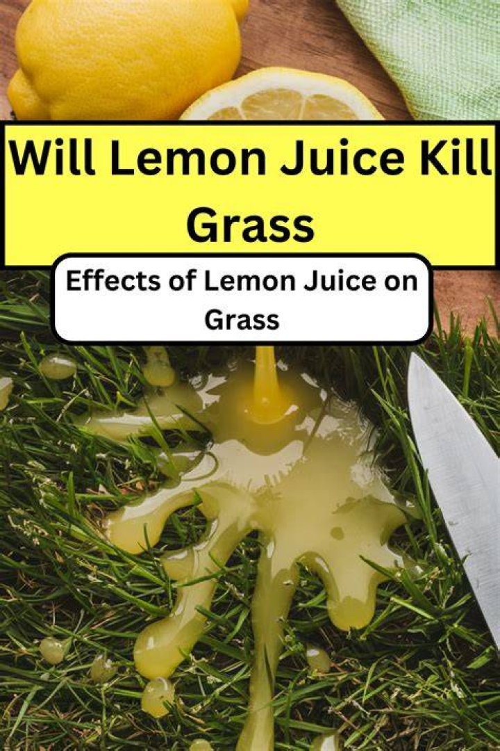 Will lemon juice kill fleas?