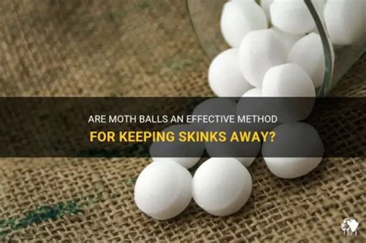 Will moth balls keep skinks away?
