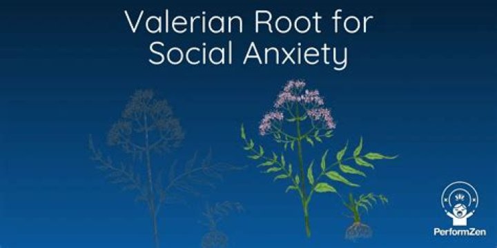 Will valerian root help anxiety?