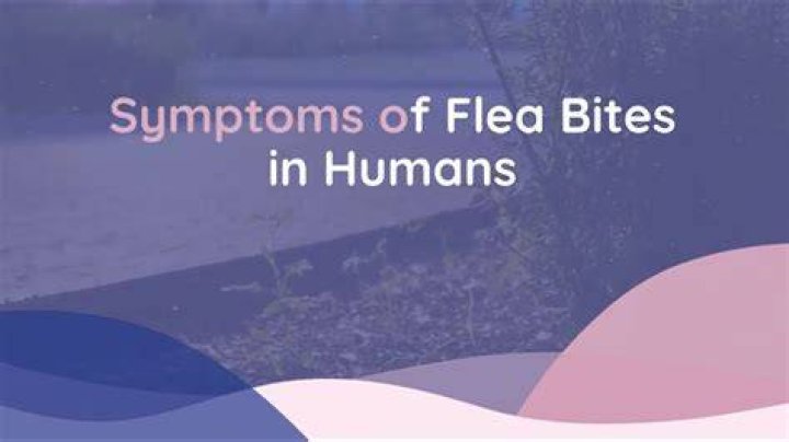 Would fleas bite humans?