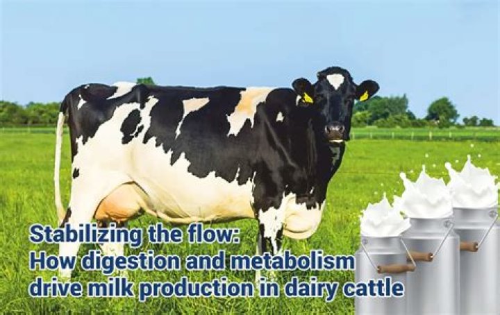 Would milk help digestion?