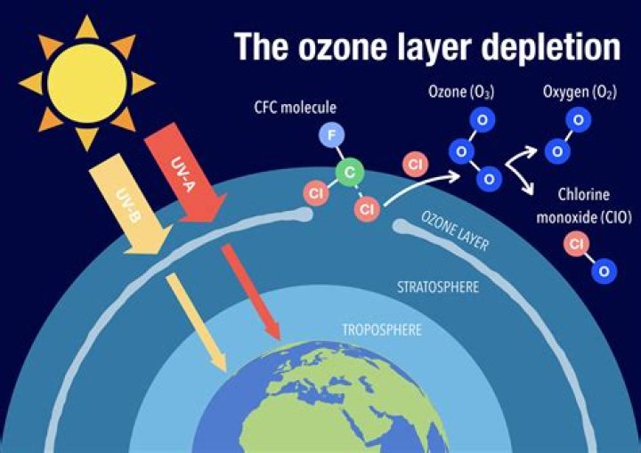 Would we die without the ozone layer?